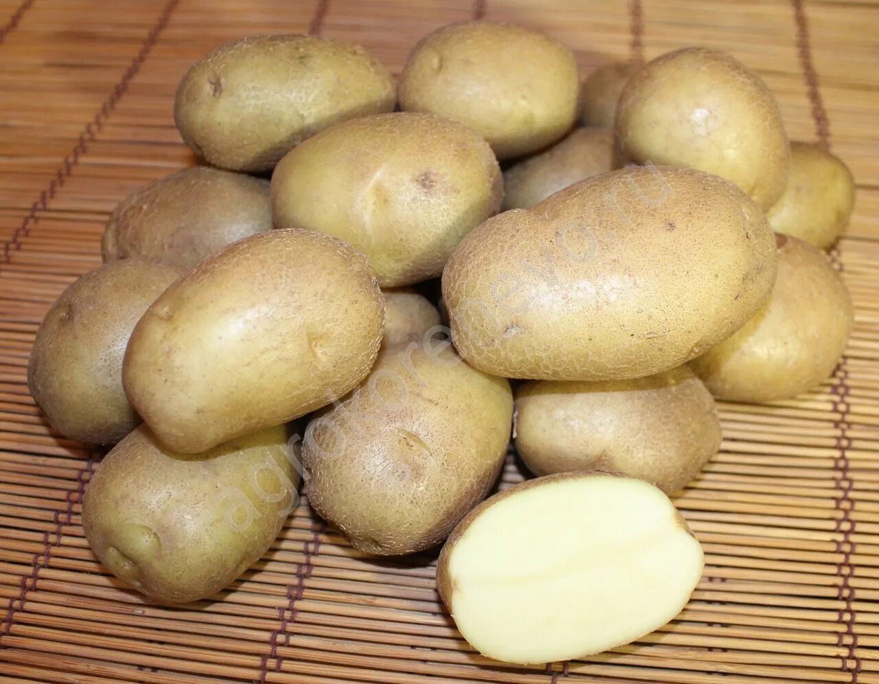 Сорт картофеля голубизна. Картофель голубизна/суперэлита. Картофель семенной голубизна. Семенной картофель Жуковская.