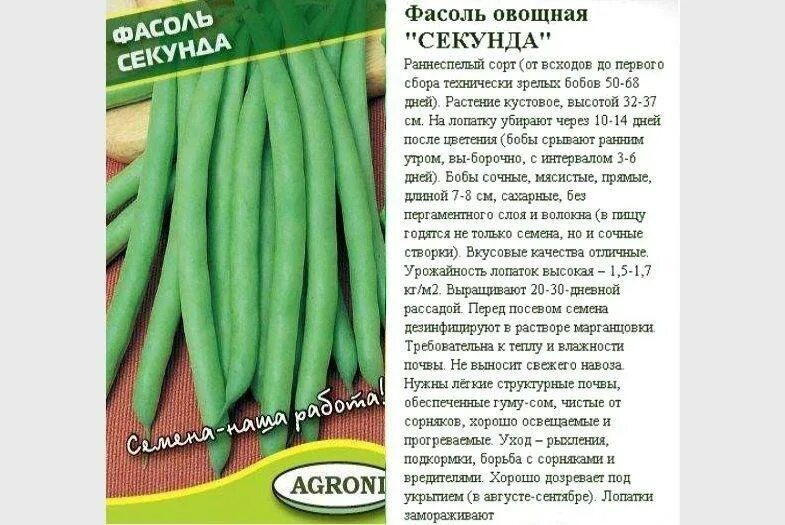 Лучшие сорта фасоли для открытого. Фасоль спаржевая кустовая сорта. спаржевая фасоль семена. семена кустовой стручковой фасоли. фасоль стручковая семена лучшие сорта.