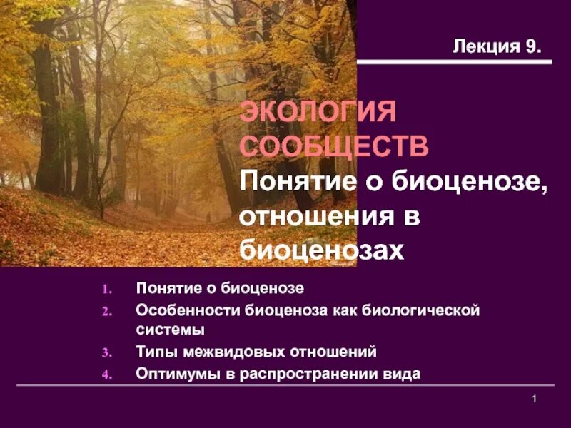 Экологические сообщества тест. Сообщество это в экологии. Сообщество определение экология. Понятие сообщество в экологии. Виды экологических сообществ.