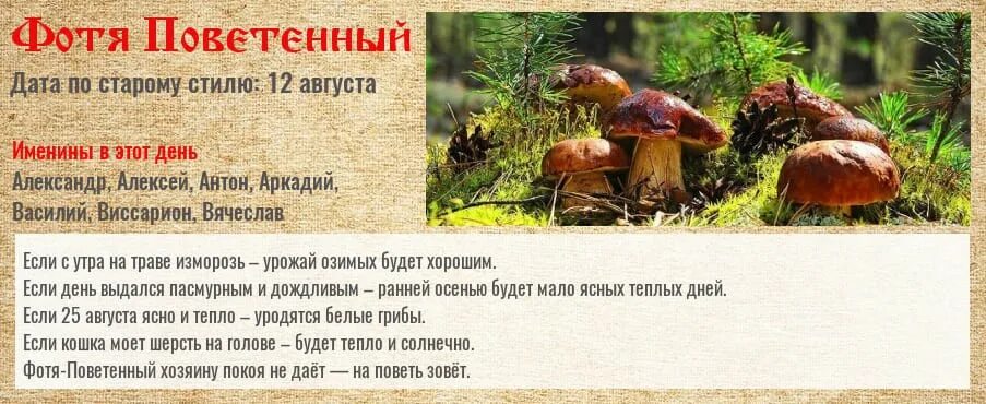 25 августа какой день лета. 25 августа народный календарь. фотя поветенный 25 августа. 25 августа приметы. фотя поветенный 25 августа приметы.
