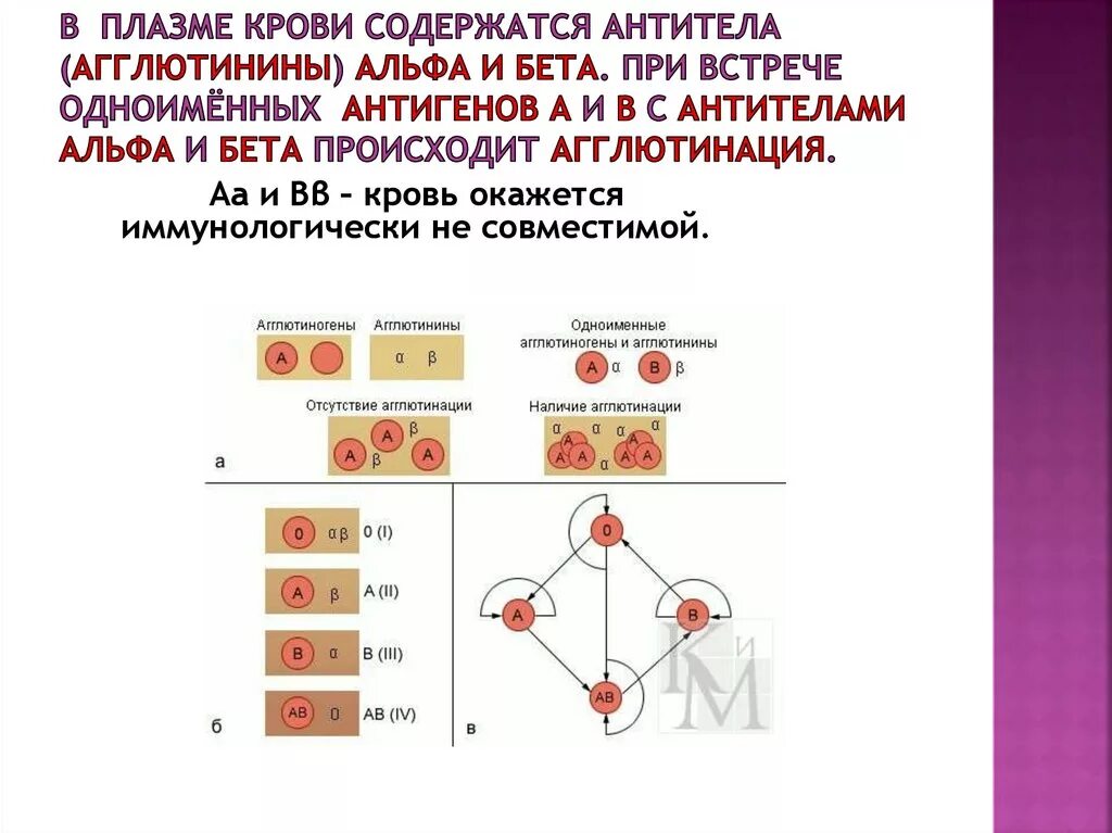 Антитела плазмы 1 группы крови. Агглютинины Альфа и Бетта. Антитела Альфа и бета в крови это что. Антитела а и в содержащихся в плазме крови.