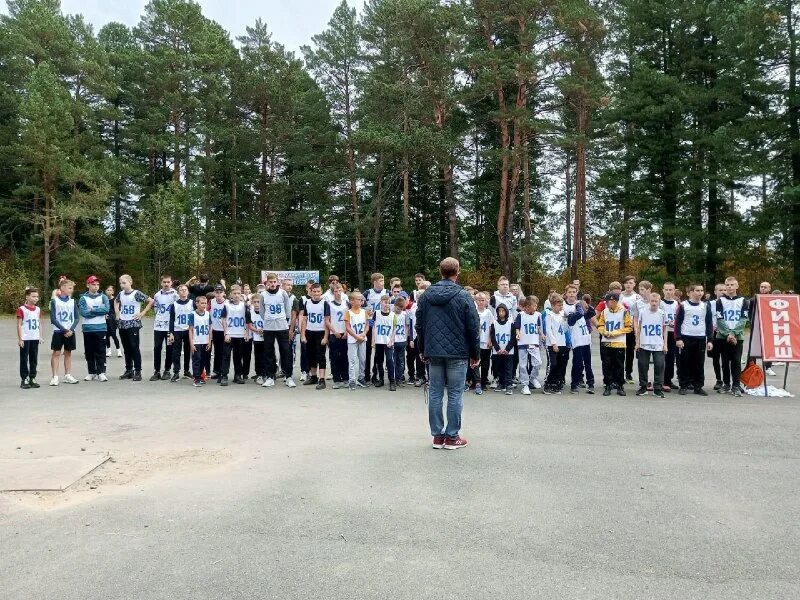 сайт колпашевского городского поселения. председатель колпашевского городского пойда. сайт колпашевского городского поселения. колпашевское городское поселение. с.