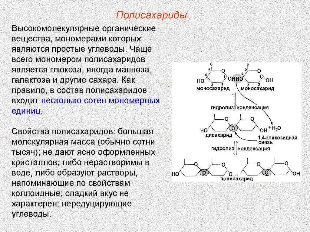 Мономеры органических молекул. Органические вещества клетки углеводы функции. Мономеры органических соединений. Функции полисахаридов в организме. Строение мономера углевода.