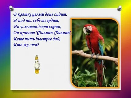 Ее целый день с