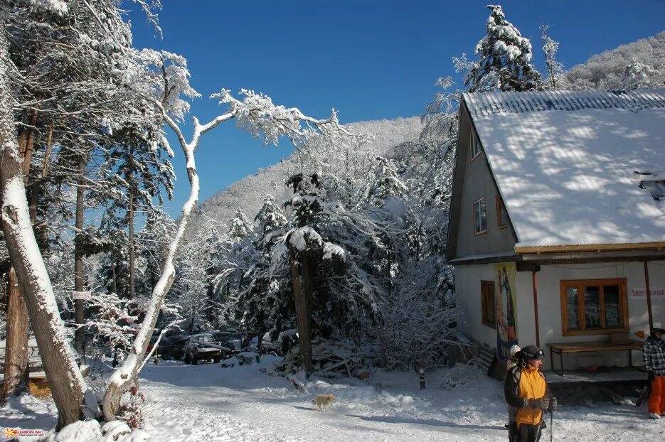 зимний отдых в приморье. арсеньев лыжная трасса. зимний отдых в приморье. база 12 месяцев приморье. лесная поляна горнолыжка.