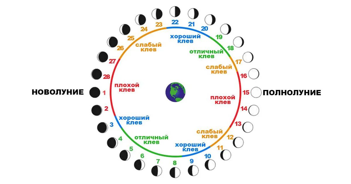 Лунные сутки длятся сколько земных суток. Влияние фаз Луны на клев рыбы летом. Зависимость клева от фазы Луны. Влияние Луны на клев рыбы летом. Фазы Луны и клев рыбы таблица на 2022.