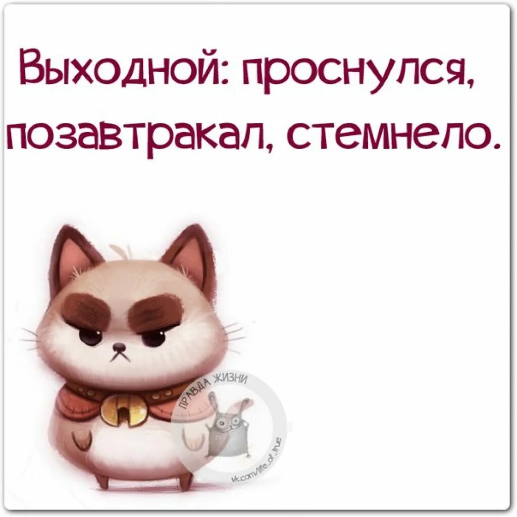Цитаты про выходные