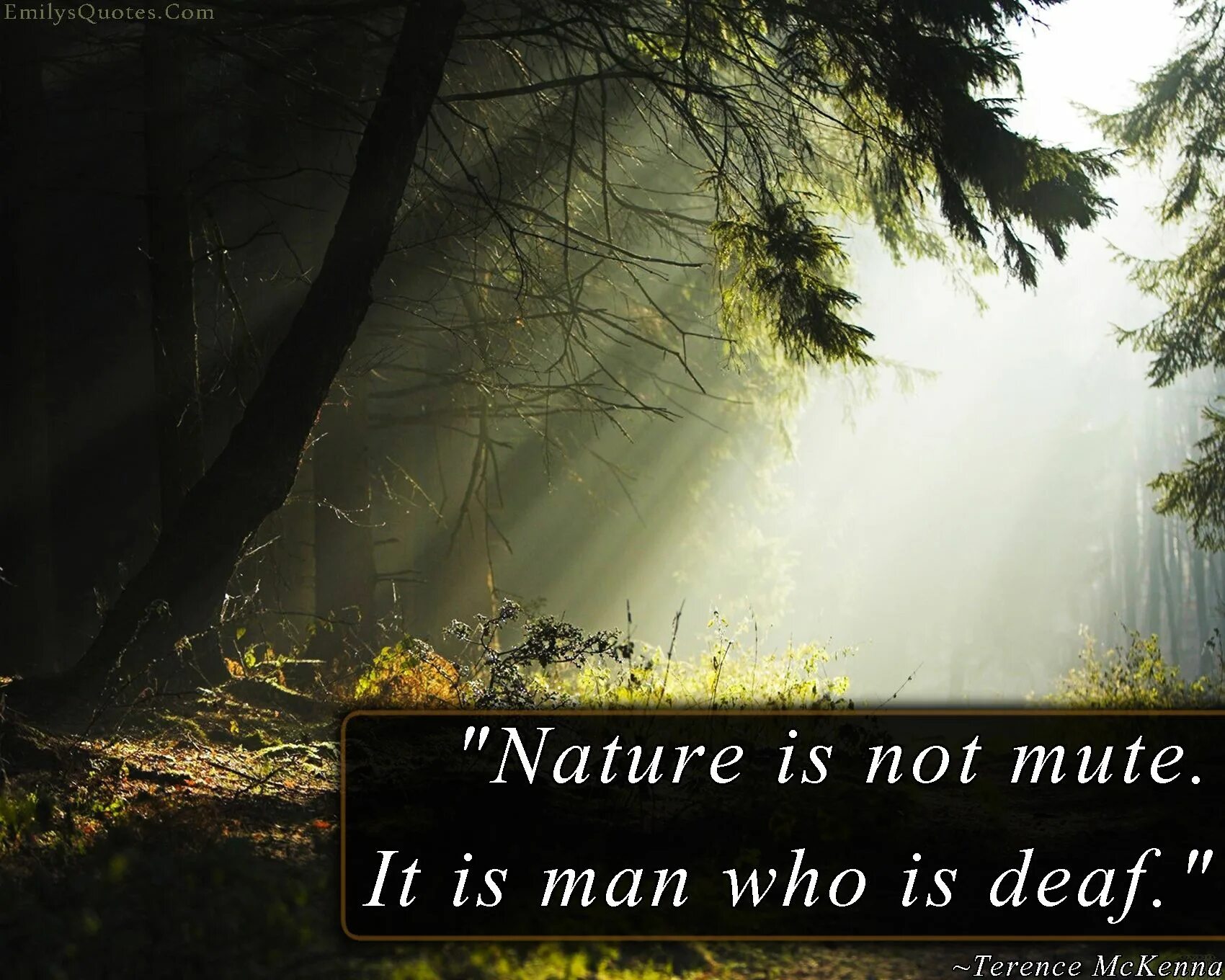 Life is a nature. Nature quotes. Sayings about nature. Quotes about nature. Nature is цитата.