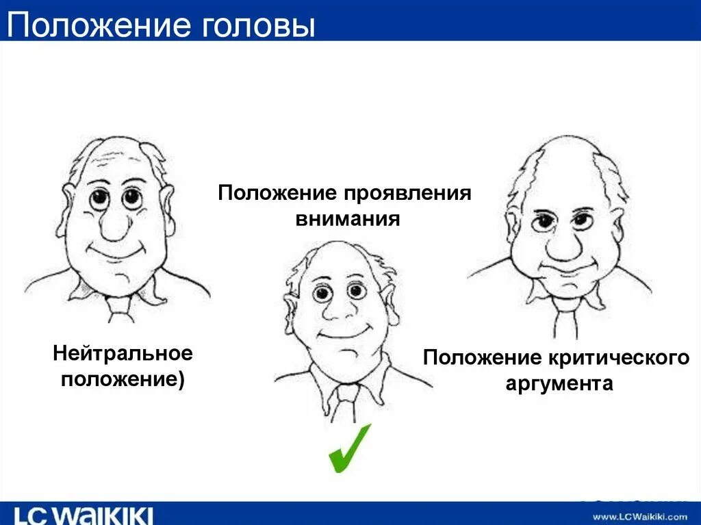 Положение затылка. Положение головы. Мимика положение головы. Нейтральное положение головы. Положение головы психология.