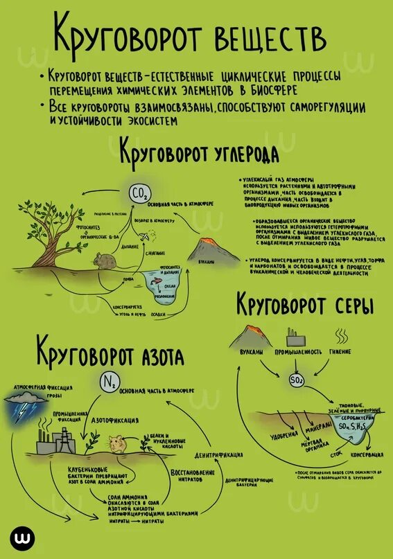 Экология егэ русский язык. Экология шпора. Биология. Шпаргалка. Шпаргалки по биологии. Экология для ЕГЭ по биологии.