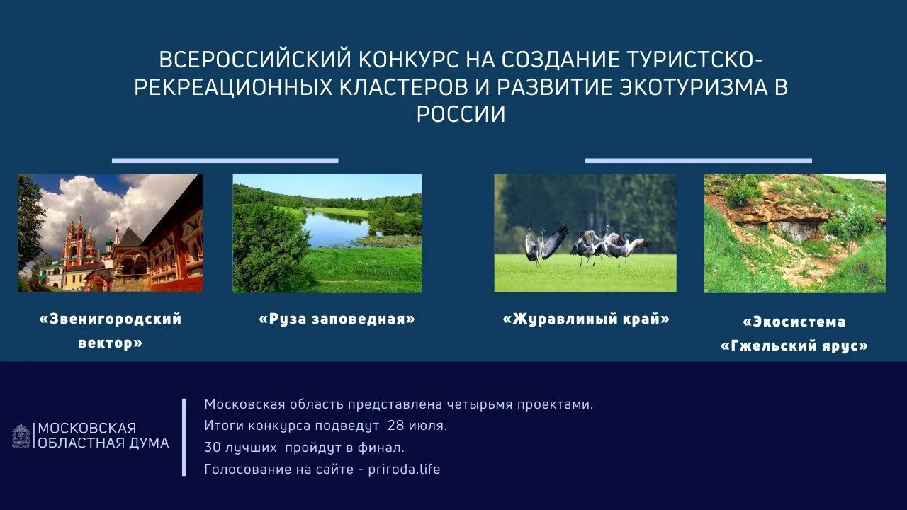 Московская область развитие туризма. Московская область развитие туризма. Майс туризм диаграммы. Московская область развитие туризма. Туристско-рекреационный кластер развития.