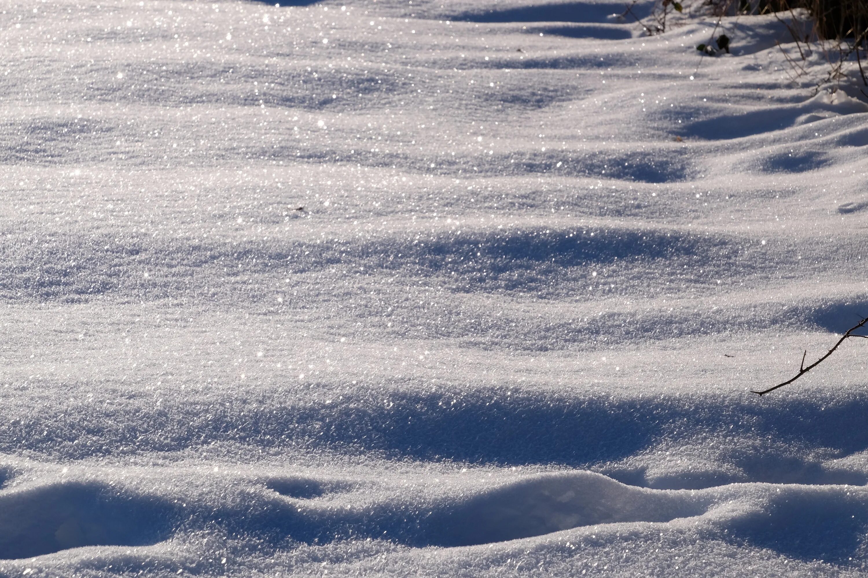 Снежный Покров. Холод снег. Холодный снег. Снег и холодно. Cold and snowy