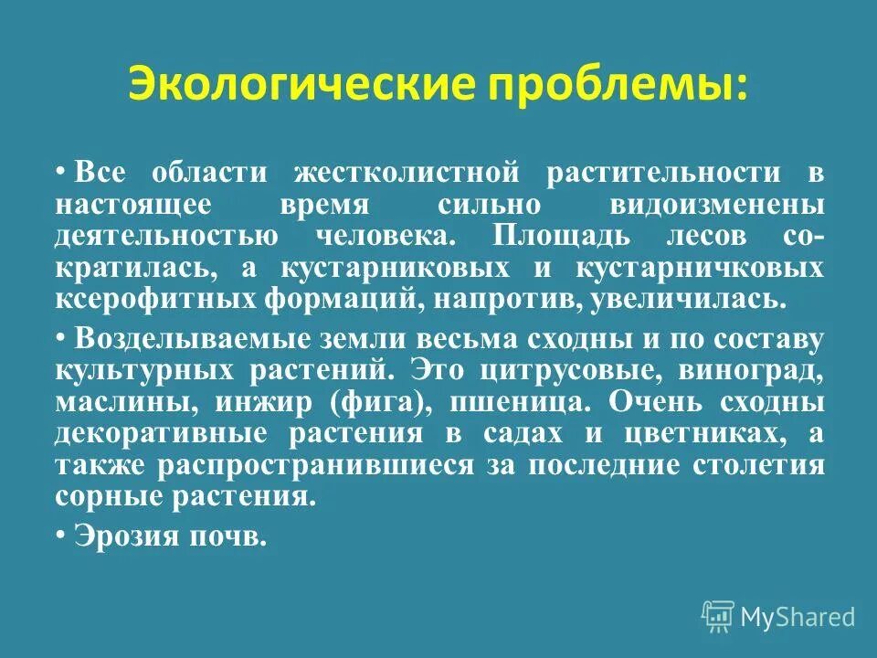жестколистные леса и кустарники деятельность человека