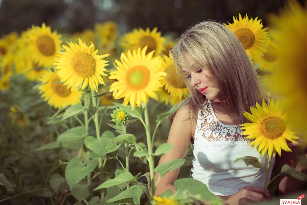 девочка подсолнух. девушка в подсолнухах. фотосессия в подсолнухах. девочка подсолнух. фотосессия в подсолнухах семейная.