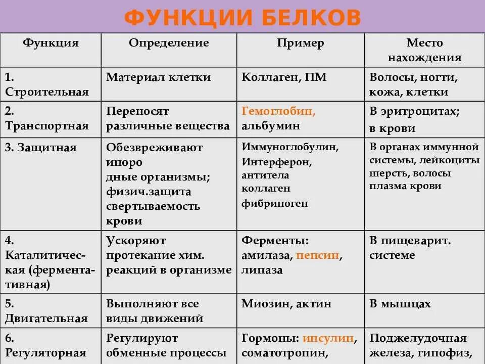 Белки выполняющие двигательную функцию. Функции белков в организме биология. Важнейшие биологические функции белков. Выполняемые функции белков. Функции белка в организме химия.