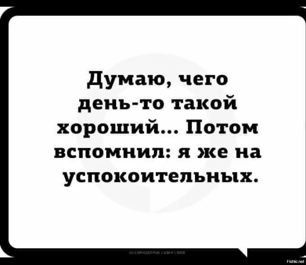 Сидит и видит день за днем. Думаю чего день то такой хороший. думаю чего день такой хороший а я же на успокоительных. думаю чего день то такой хороший а я ж на успокоительных. я на успокоительных.