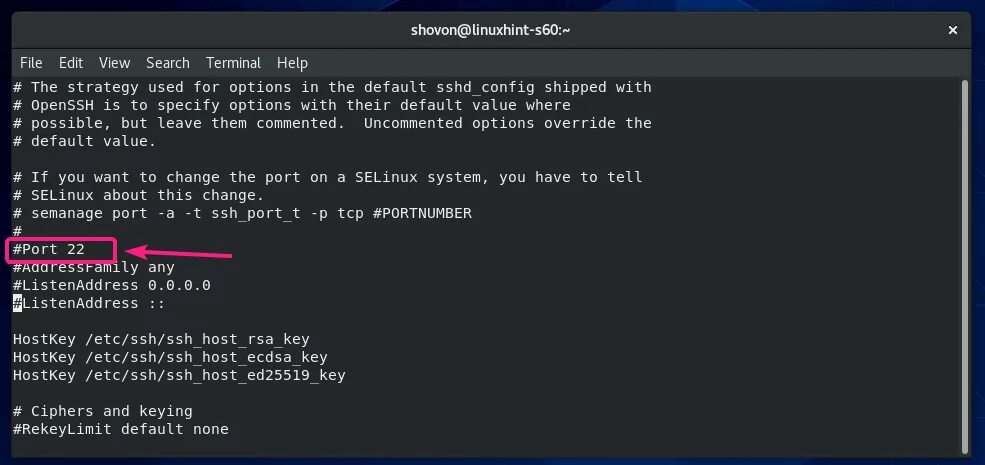 Ssh host port. Ssh порт. ssh хост. ssh интерфейс. cmd ssh port.