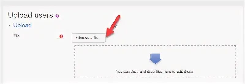 User uploads