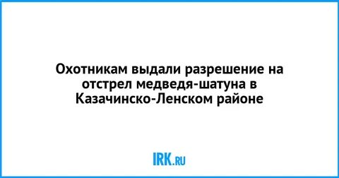 Отстрел медведей разрешение