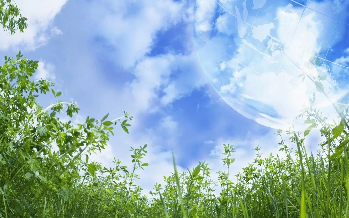 Фон для презентации природа. Экологический фон. Экология фон. Трава и небо. Окружающее спокойно