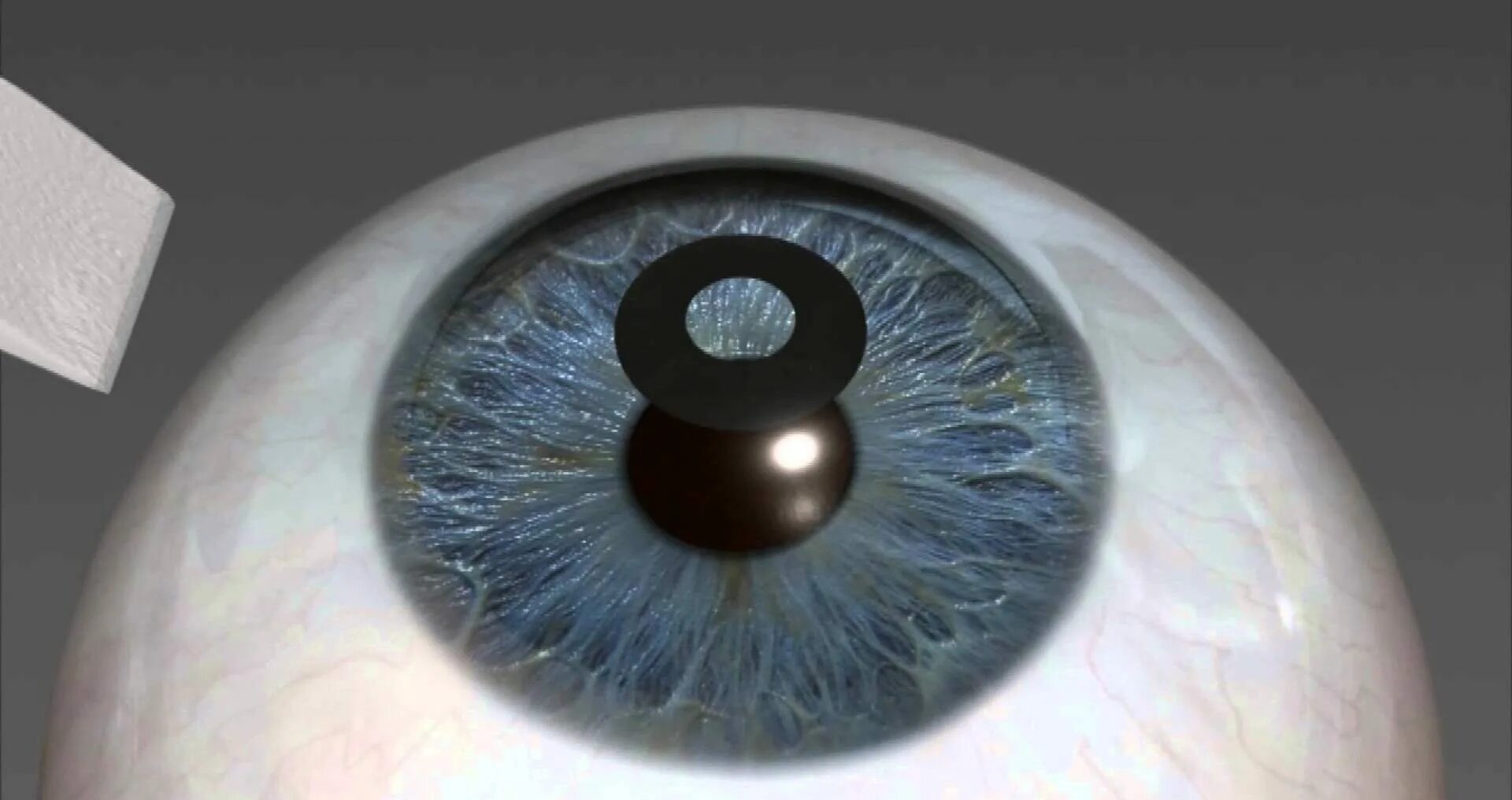 Eye of foresight почему такой дорогой