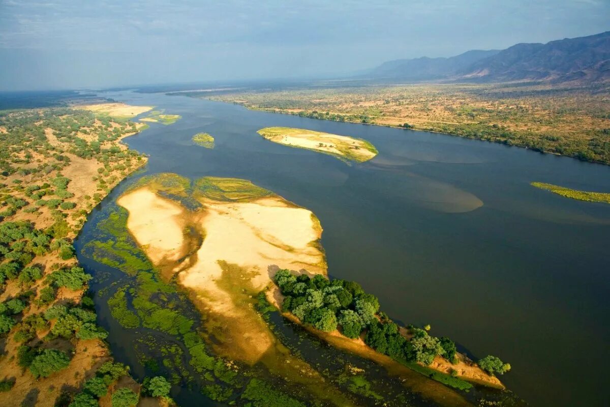 Africa river. Река Замбези Мозамбик. Конго Африка. Река Замбези Африка. Дельта реки Конго.