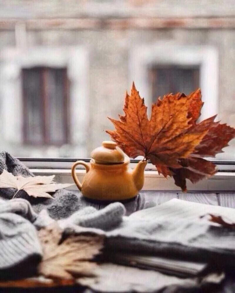 Однажды осенним утром. Уютная осень. Осеннее утро. Осенний уют. Осеннее настроение.