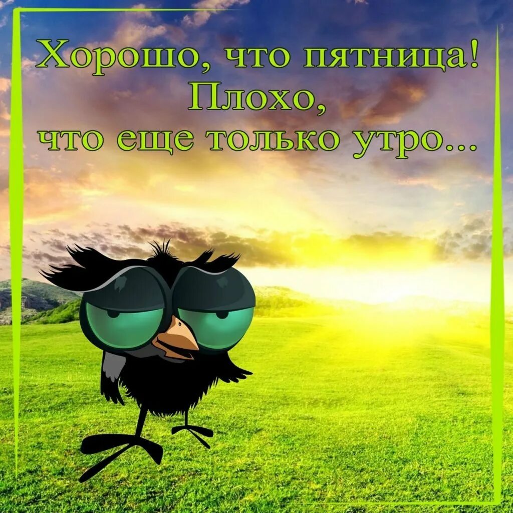 Утро пятницы хорошего дня. Доброе утро пятницы. открытки с добрым утром пятницы. открытки с добрым утром пятн цы. с добрым утром пятницы пожелание.