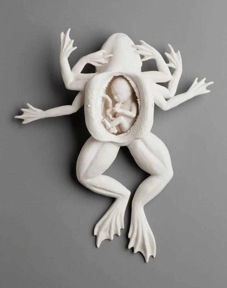 Strange picture. Фарфоровые скульптуры Кейт МАКДАУЭЛЛ. Скульптуры Kate MACDOWELL. Глиняные статуэтки странные. Скульптура из бисквитного фарфора Kate MACDOWELL.