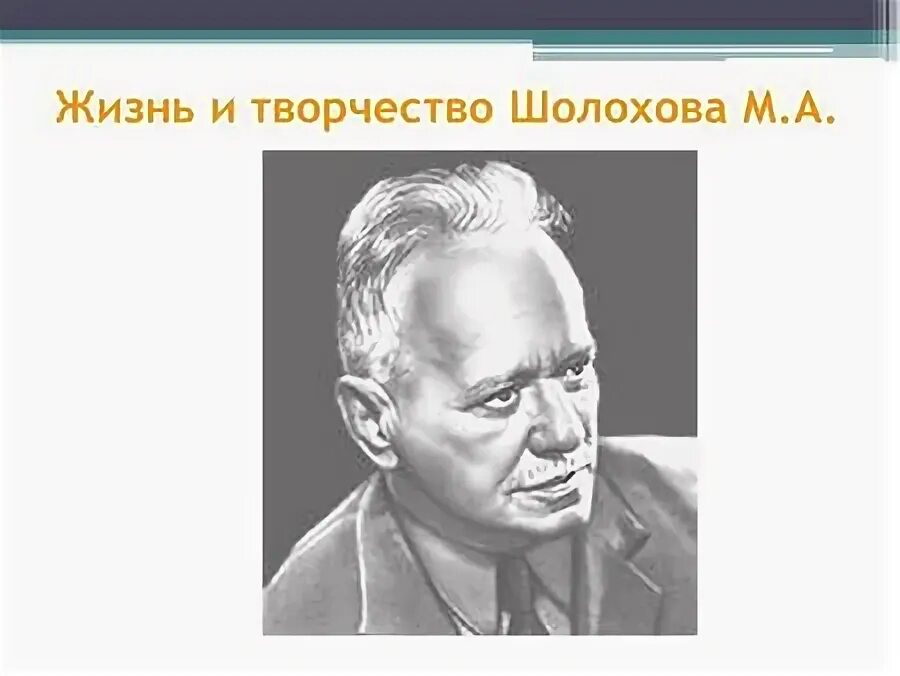 Шолохов жизнь и творчество 11 класс. Жизнь и творчество Шолохова. Шолохов портрет.