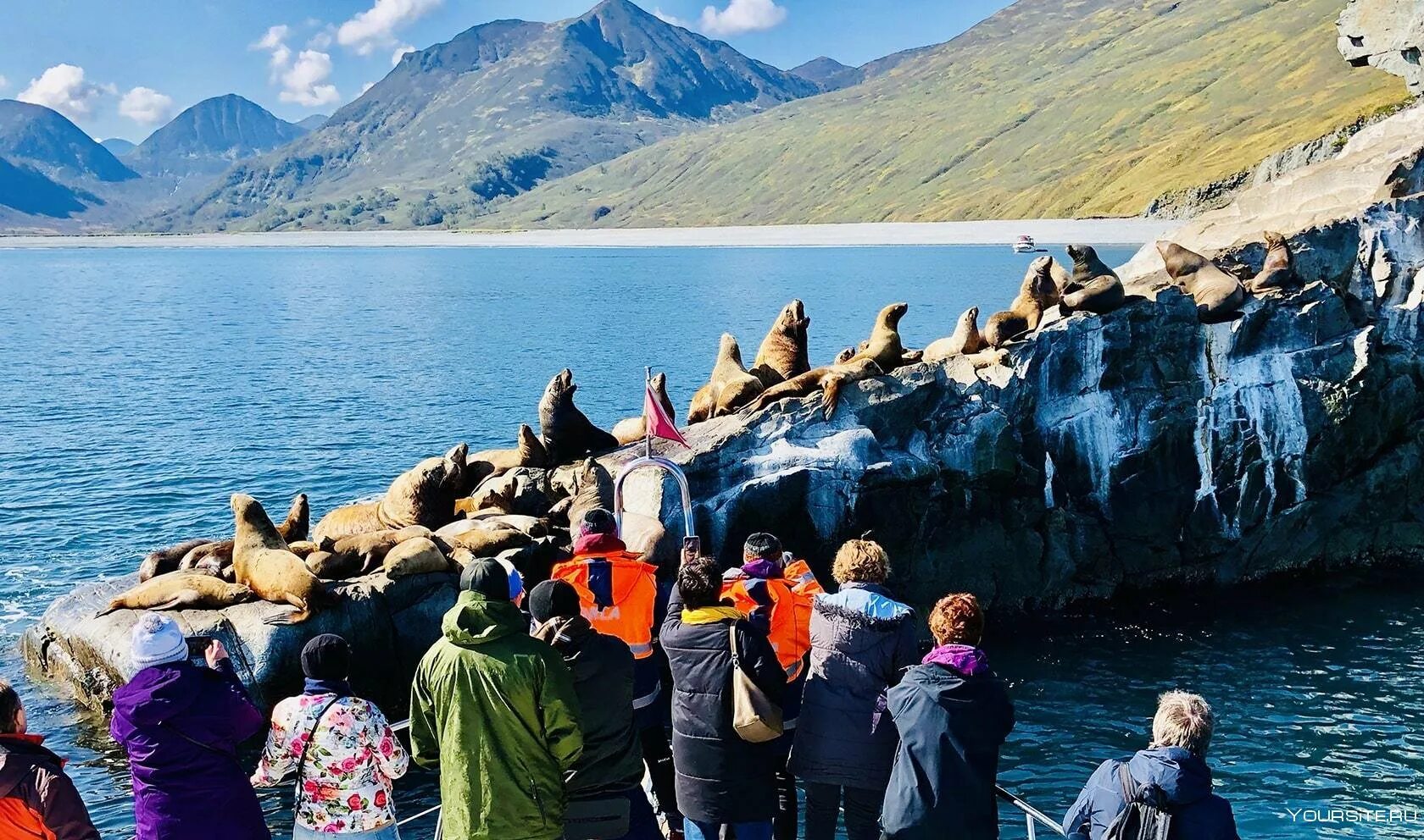 Кетов камчатка. Бухта русская камчатка сивучи. морская прогулка в бухту русская на камчатке. бухта русская камчатка экскурсии. остров старичков камчатка экскурсия.