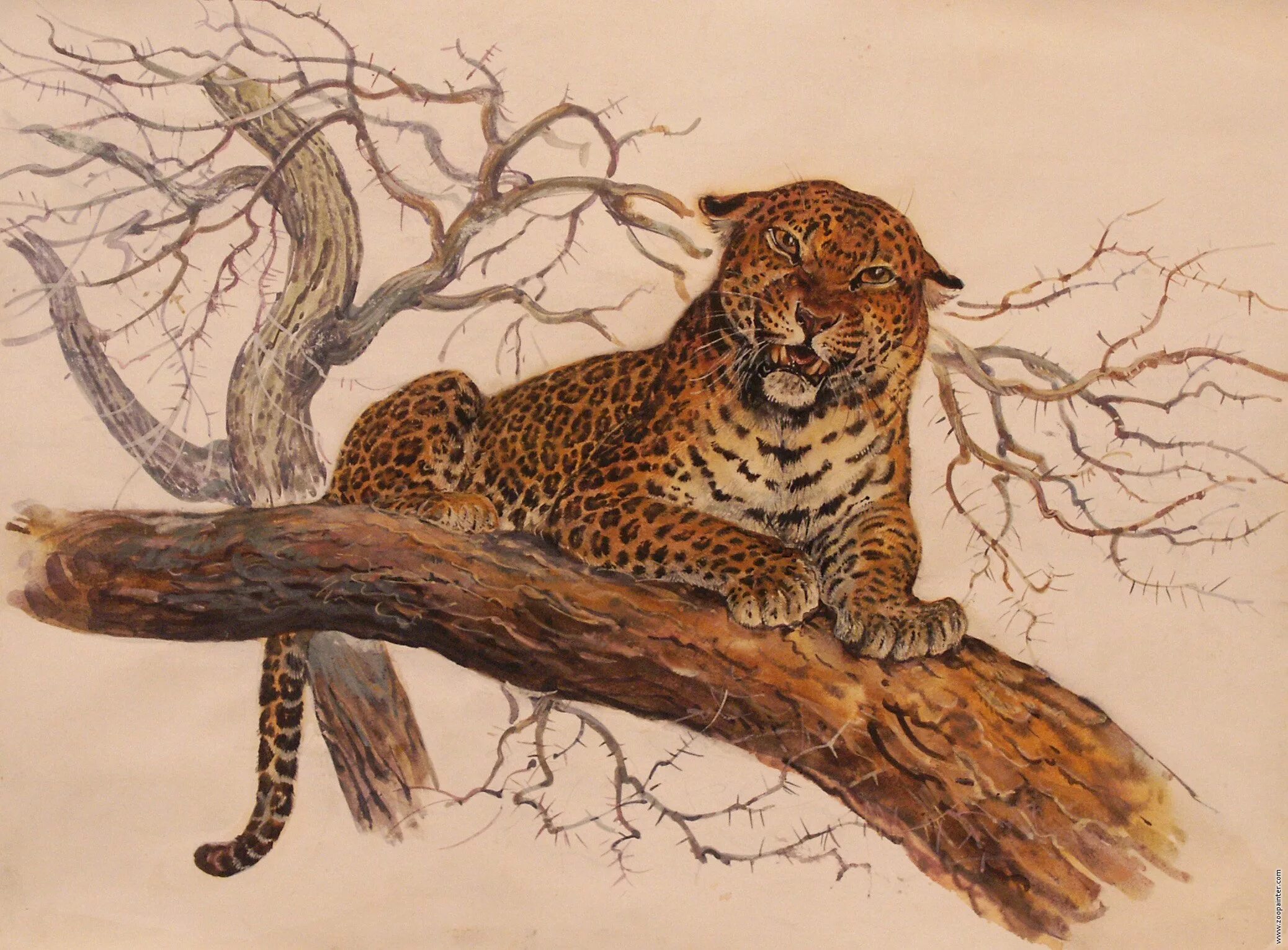 Картина животные. Леопард на дереве. Леопард рисунок. Леопард на дереве рисунок.