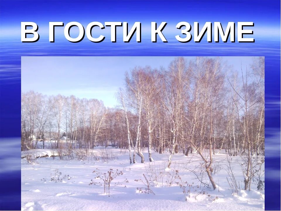 В гости к зиме окружающий мир 2. Проект в гости к зиме. окружающий мир зима. проект зимнюю природу. проект зима 2 класс.