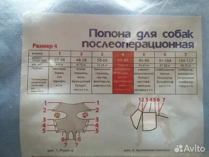 Как завязать попону собаке после операции