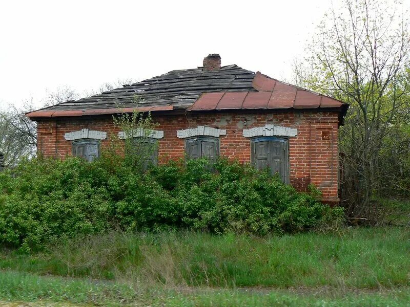 Митьковка Климовского района Брянской области. Могилевцы Климовский район. Каменка Брянская область Климовский район. Д Митьковка Климовского района Брянской области. Погода хоромное