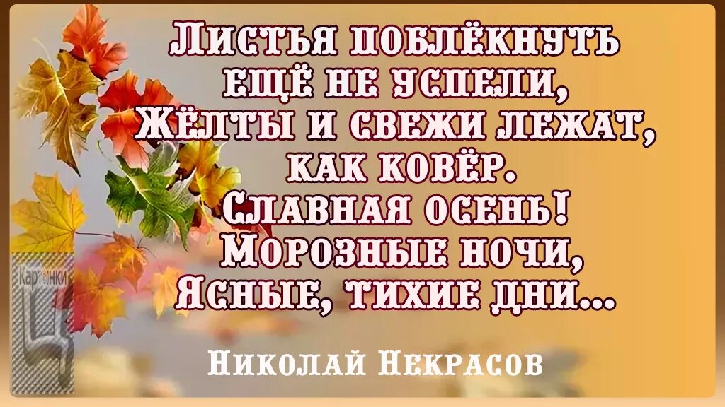 Осень цитаты из книг. Цитаты про осень. красивые высказывания про осень. красиво про осень цитаты. красивые изречения об осени.