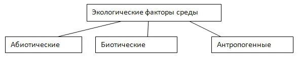 Факторы среды тест 5 класс. Схема экологические факторы. Факторы среды схема. Экологические факторы среды. Факторы среды обитания схема.