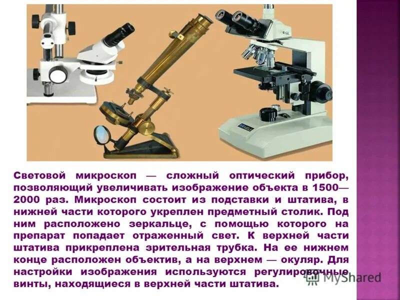 Какую функцию выполняет объектив при работе микроскопа