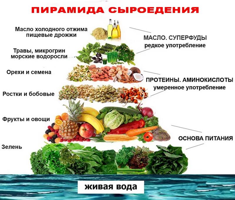 Сыроедение суть. Диета сыроедение. Что такое сыроедение и что едят. Растительная пища. Сыроедение суть.