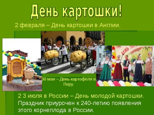 Когда день картошки