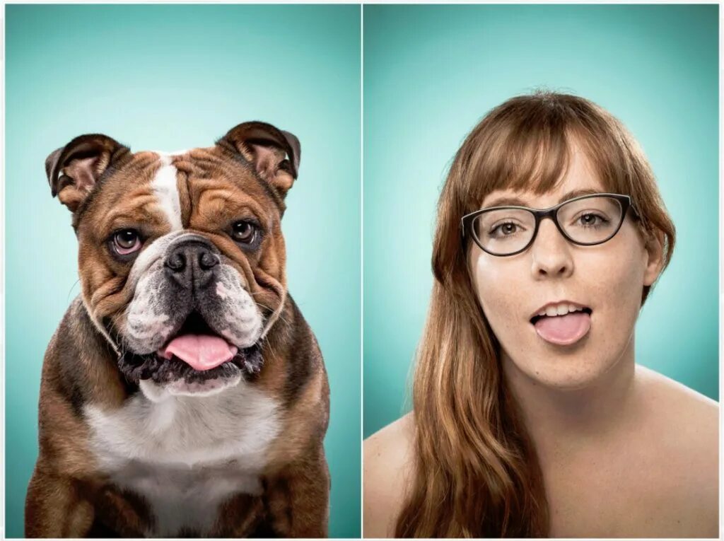 собака с разными эмоциями. эмоции людей и собак. эмоции собак. выражение эмоций у животных. книга.