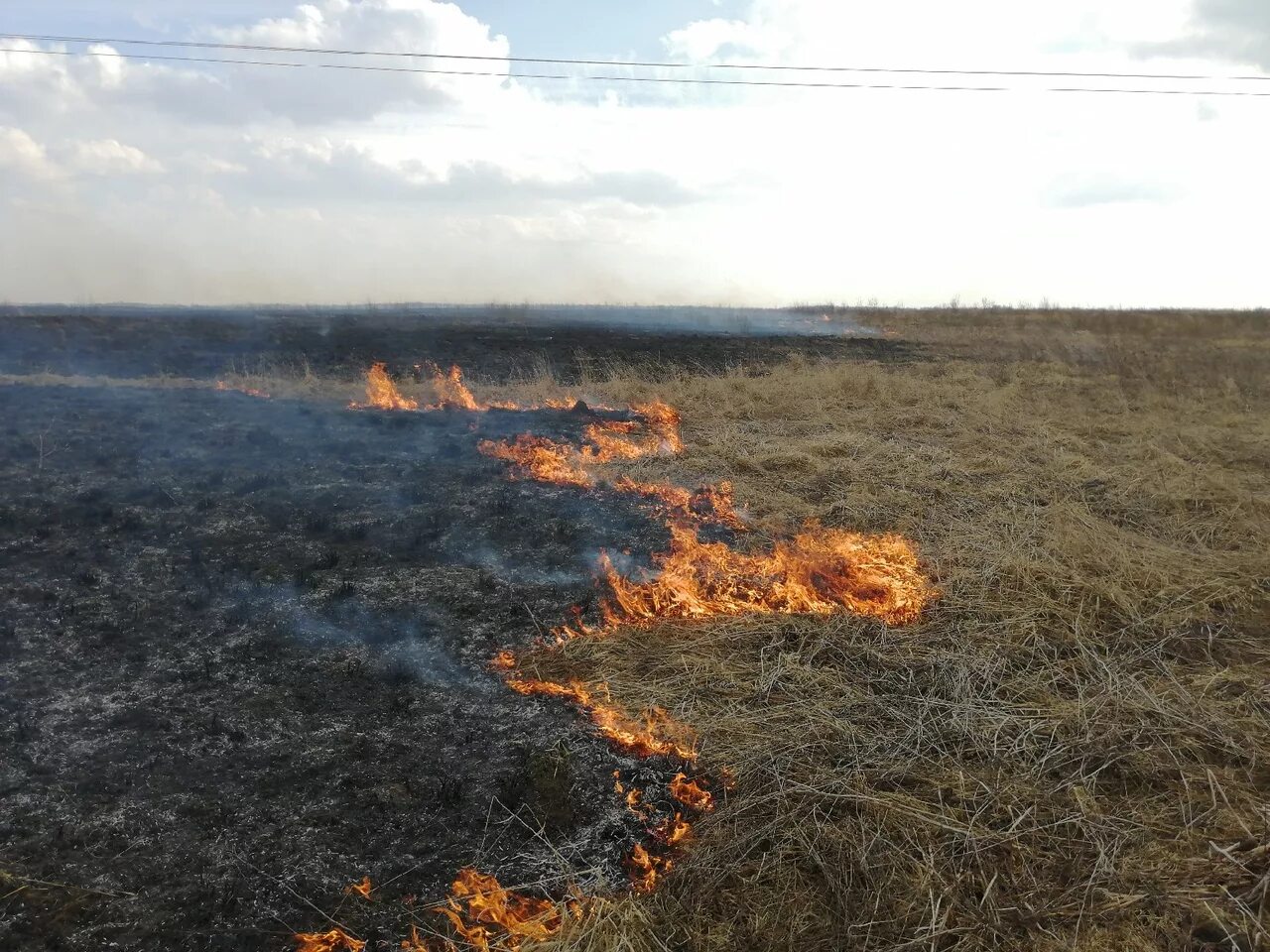 Пал гг