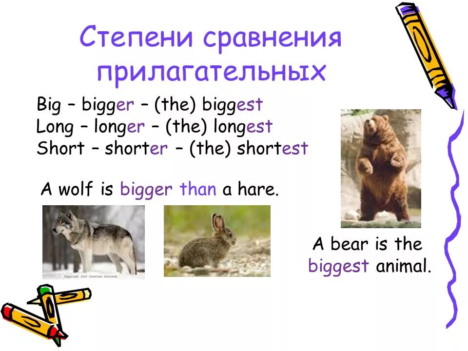 Английский язык 3 класс дикие животные. Степени сравнения прилагательных животные. Сравнение животных на английском. Big степени сравнения. Степени сравнения прилагательных big.