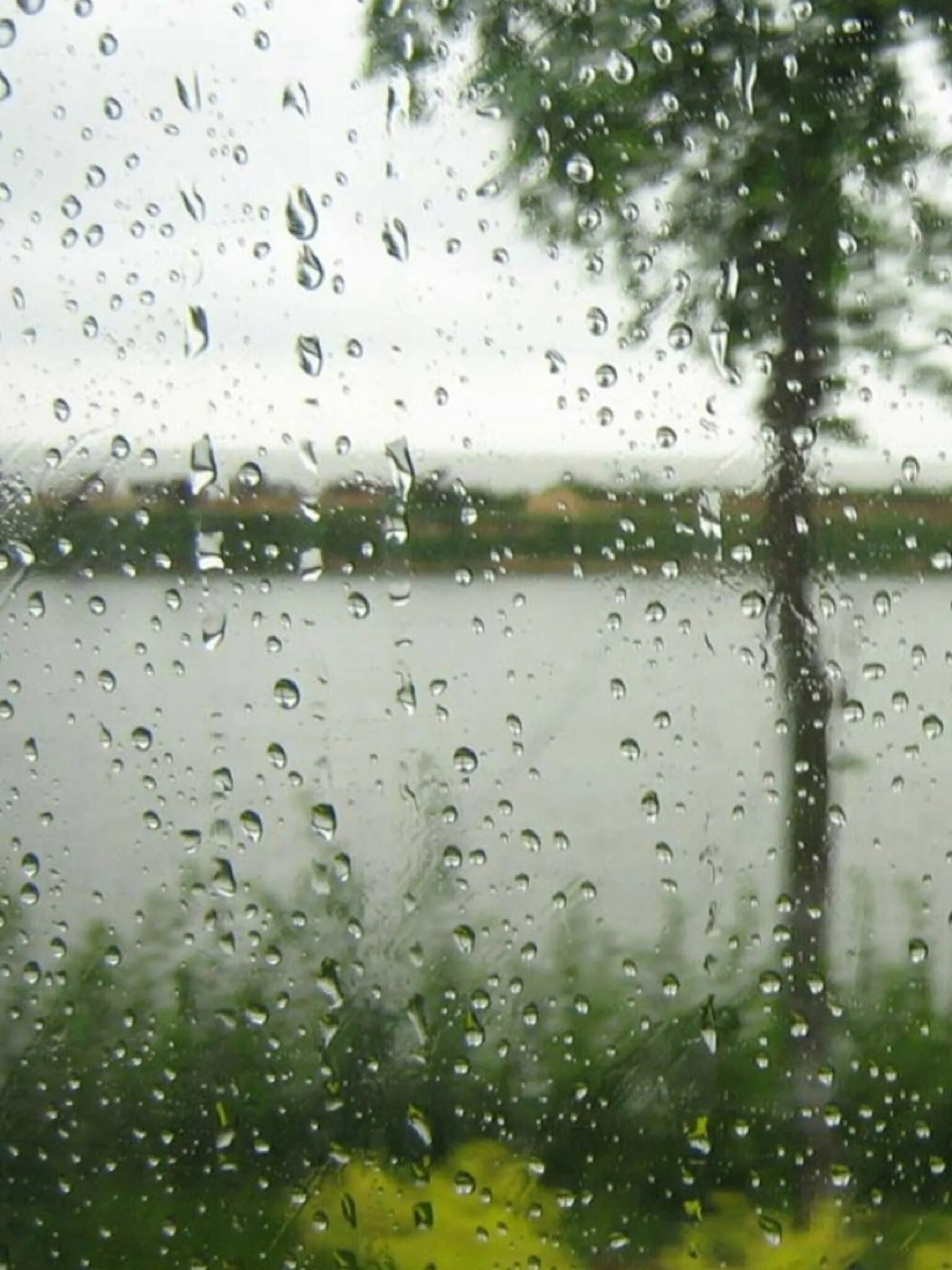 В окна стучали крупные дождевые капли. Дождь за окном. Дождливое лето. Летний дождик. Дождливый летний день.