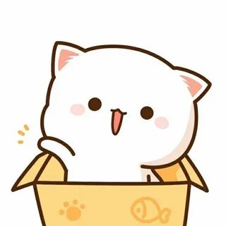 Hello cat