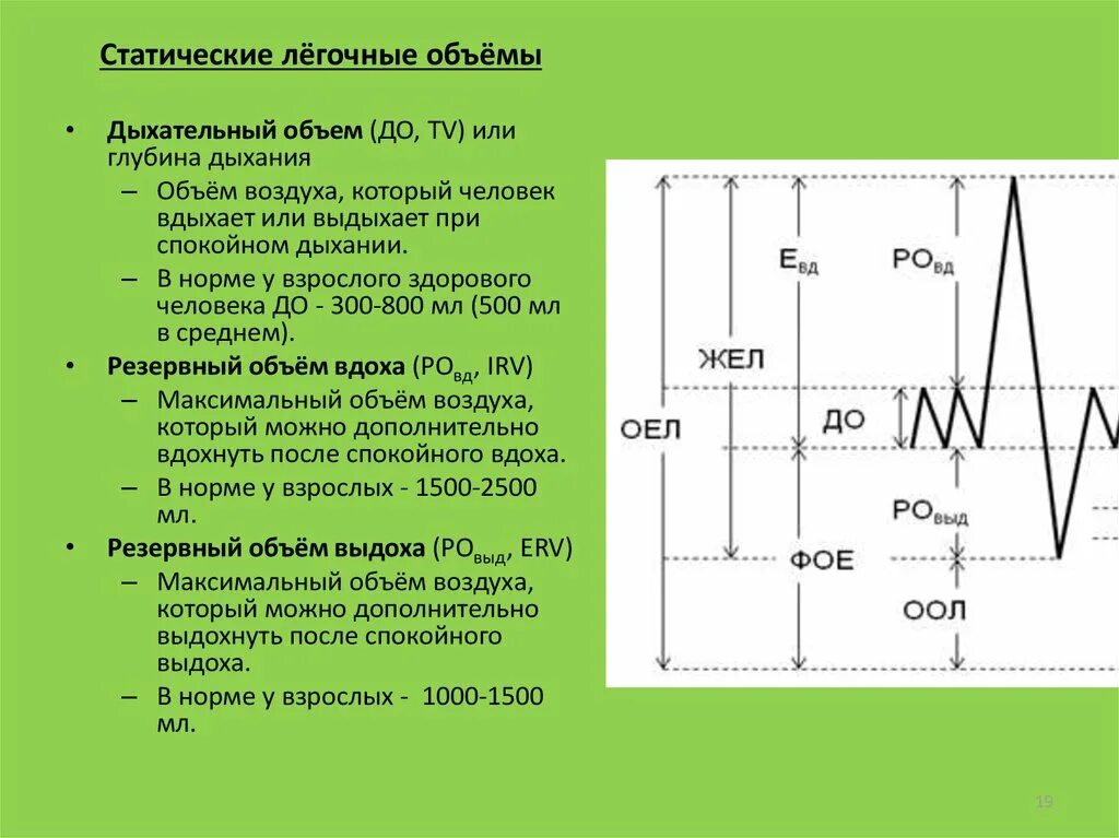 Функциональное деление общей емкости легких. Дыхательные объемы и емкости физиология. Статистические объемы и емкости легких. Легочные объемы и емкости физиология. Резервный объем выдоха норма.