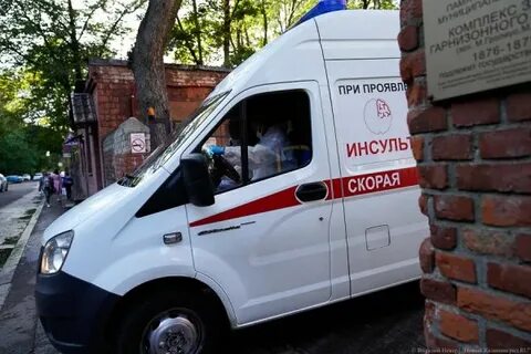 Калининград заболеваемость