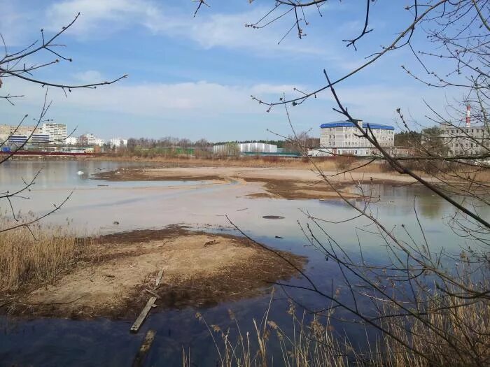 Самаровское озеро московская область. Озеро торфянка королев. Самаровский пруд в королеве. Самаровское озеро московская область. Самаровское озеро московская область.