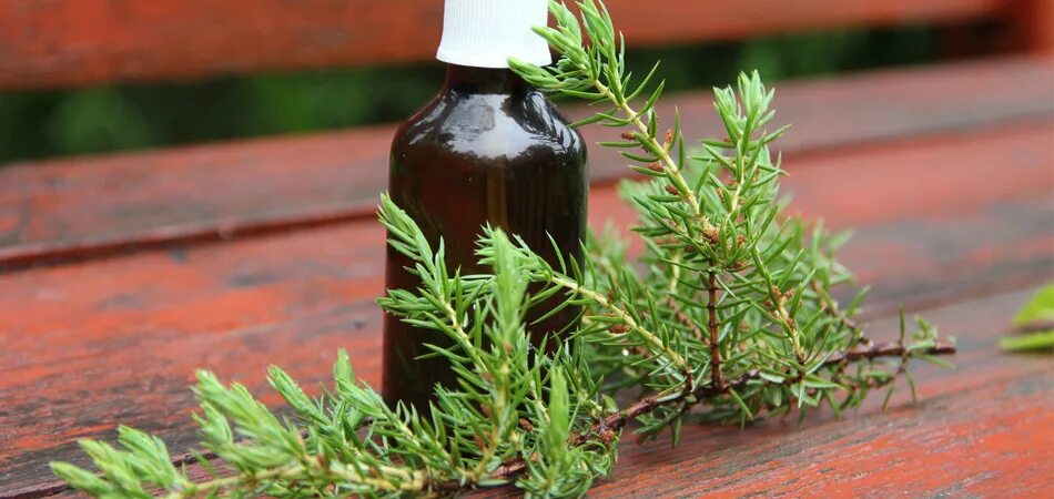 можжевельник ингаляция. ингаляции можжевельник. можжевельник ароматерапия. эфирное масло можжевельника. гидролат можжевельника, 100 мл.