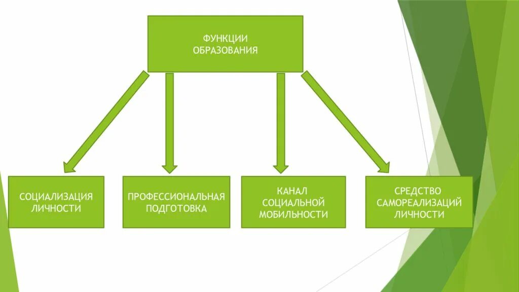 Какова функция образования в обществе. Образование схема Обществознание. Наука и образование схема. Функции образования в обществе. Наука и образование 10 класс Обществознание.